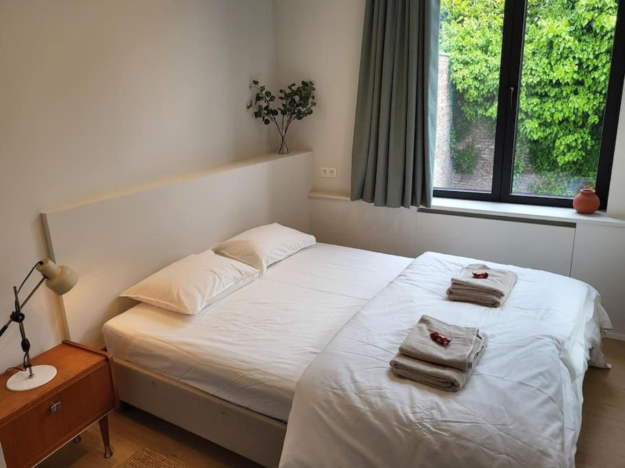 Comfortable Flat Close To Flagey Appartement Bruxelles